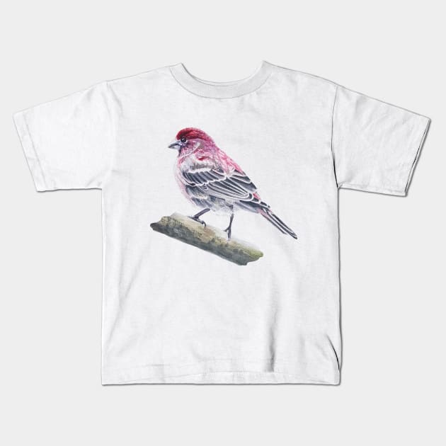 House Finch bird painting (no background) Kids T-Shirt by EmilyBickell